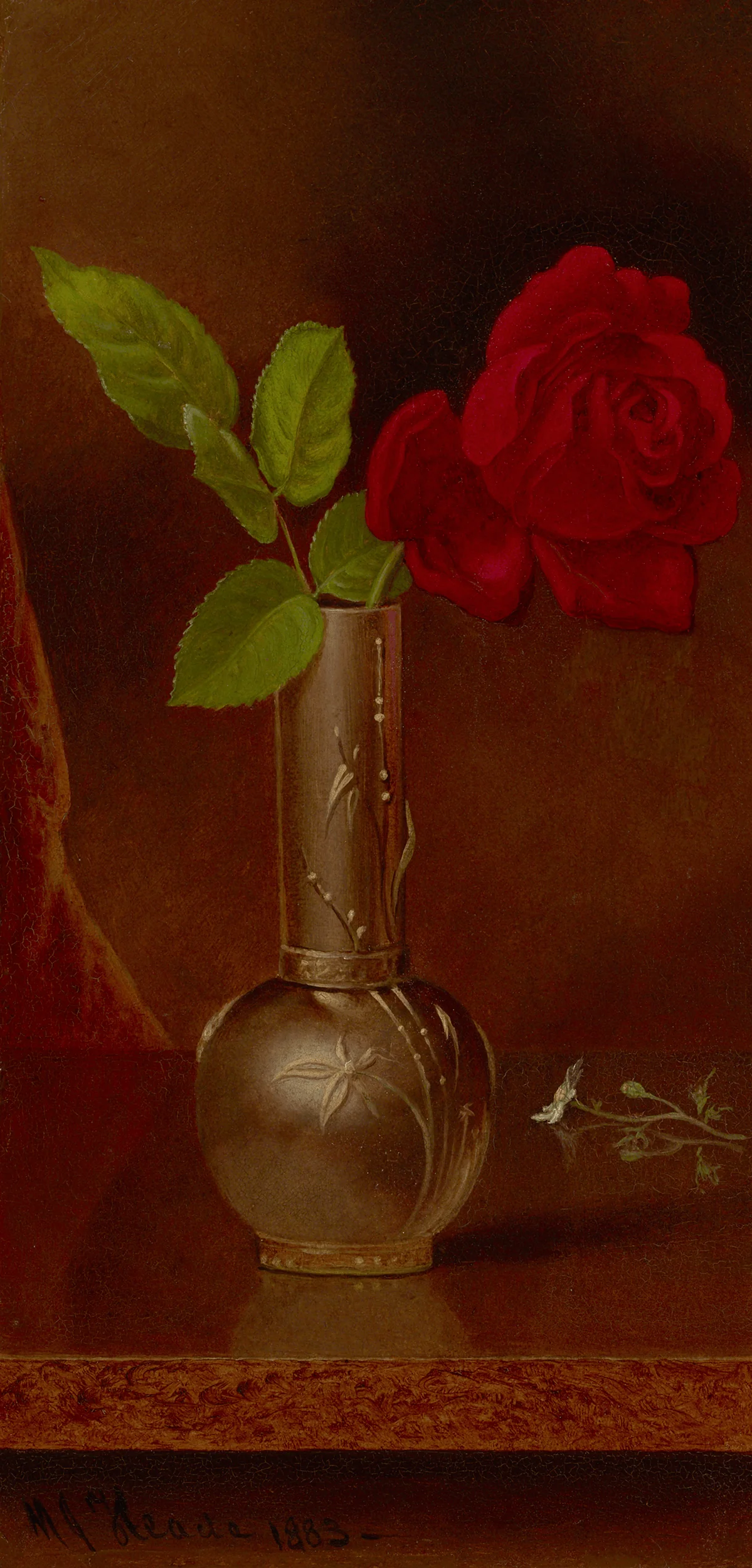 Martin Johnson Heade