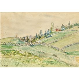 Albert Trachsel Picture