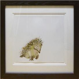 Catherine Rayner Picture