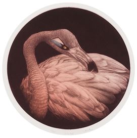 Laine Groeneweg Picture