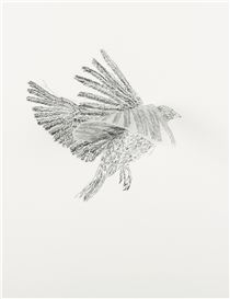 Kiki Smith