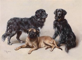 Carl Reichert Picture