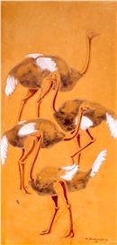 Dieter Aschenborn Picture