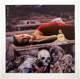 Joe Webb Picture