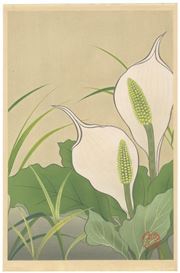 Toshihide Migita Picture