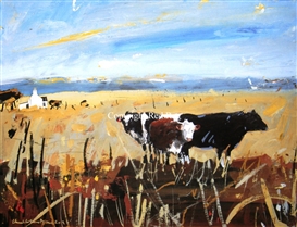 Hamish MacDonald Picture