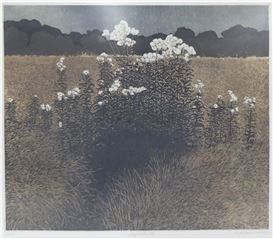 Phil Greenwood | 172 Artworks at Auction | MutualArt