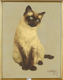 Fernand Clausse Picture