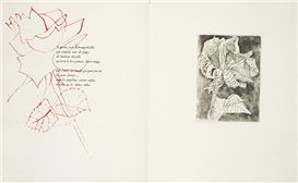 Rainer Maria Rilke Picture