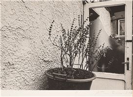 Antonio Biasiucci Picture