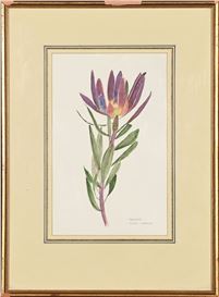 John Scandrett Harford Picture