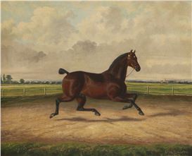 Albert James Clark Picture