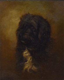 Alfred Grenfell Haigh Picture