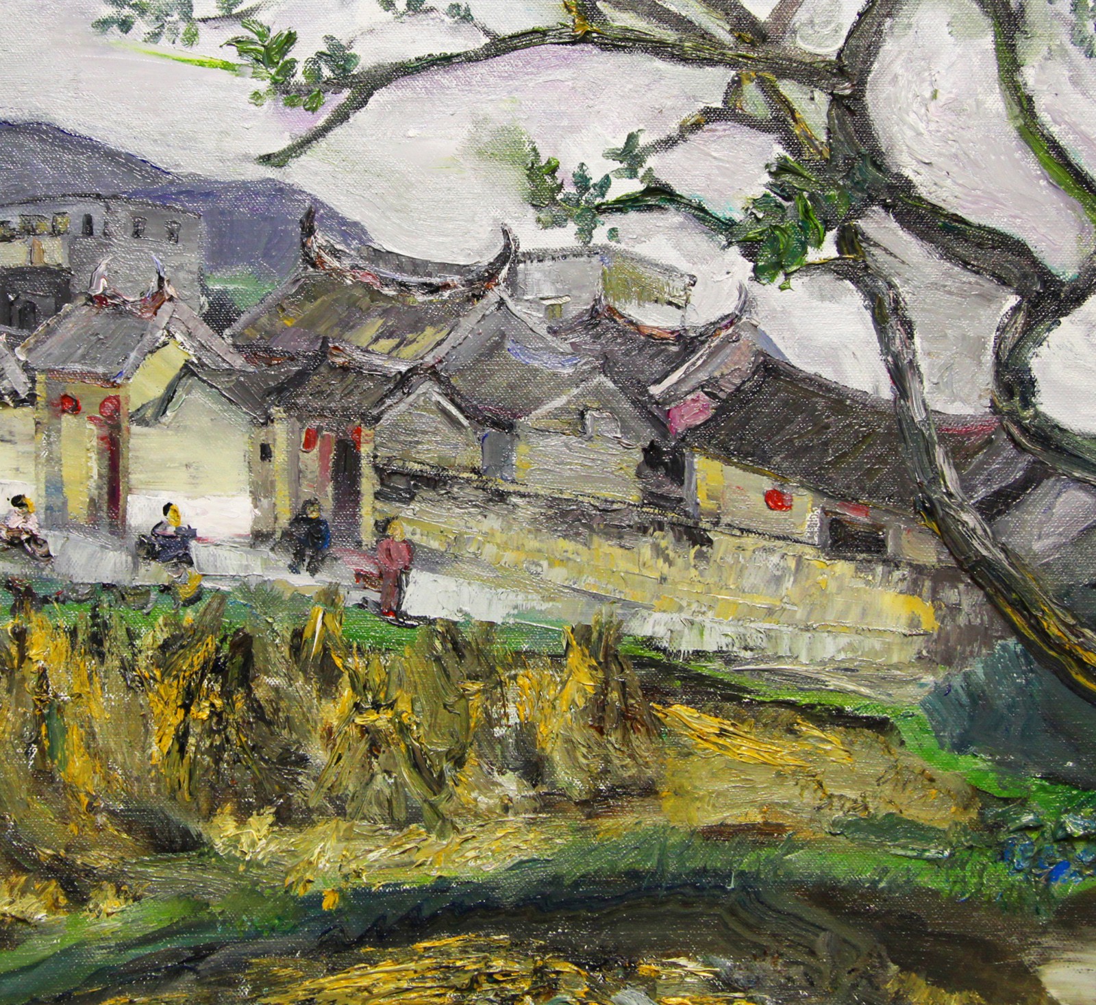 Judy  C. Zheng
