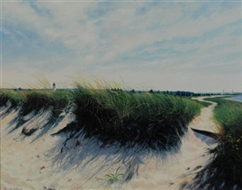 Tim Barr Picture