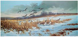 Gerald L. Lubeck Picture