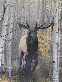 James Corwin Picture