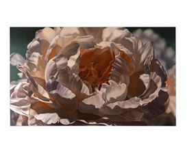 Winifred Godfrey Picture