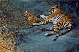 John Banovich Picture