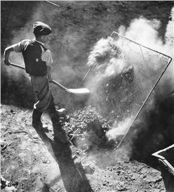 Jan Beran Picture