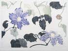 Patricia Jorgenson Picture