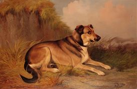 Colin Greene Picture