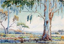 Johannes G. Borman Picture