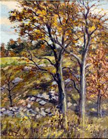 Hugo Melville Fisher Picture