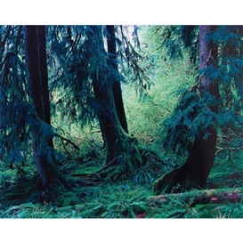 Yoshihiko Ueda | 35 Artworks at Auction | MutualArt