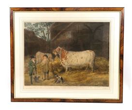 William Ward I Picture