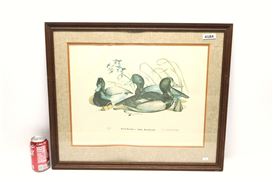 Ward Brothers Picture