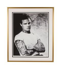 J.J. Adams Picture