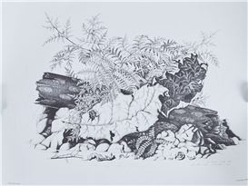 Rei Hamon Picture