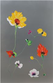 Thierry Feuz Picture