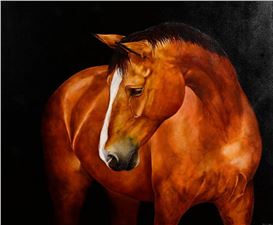 Tony O'Connor Picture