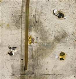 Oscar Murillo Picture