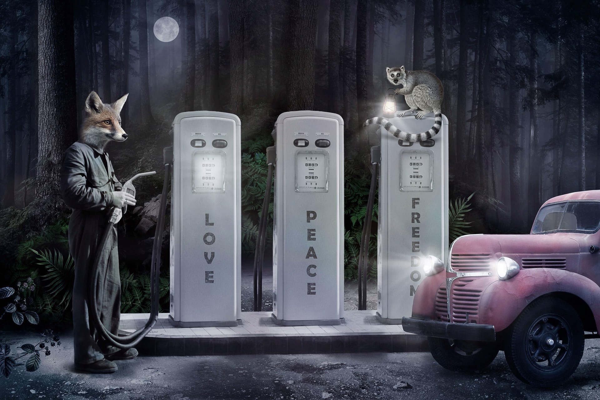 Marcin  and  Kate Owczarek