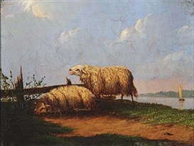 Pieter Plas Picture