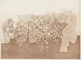 William Majors Picture
