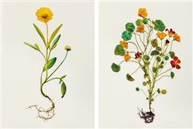 Koo Sung Soo Picture
