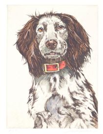 Jack Lee Cowin Picture
