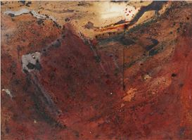Paul Davies Picture