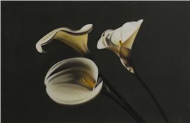 Guy Diehl Picture
