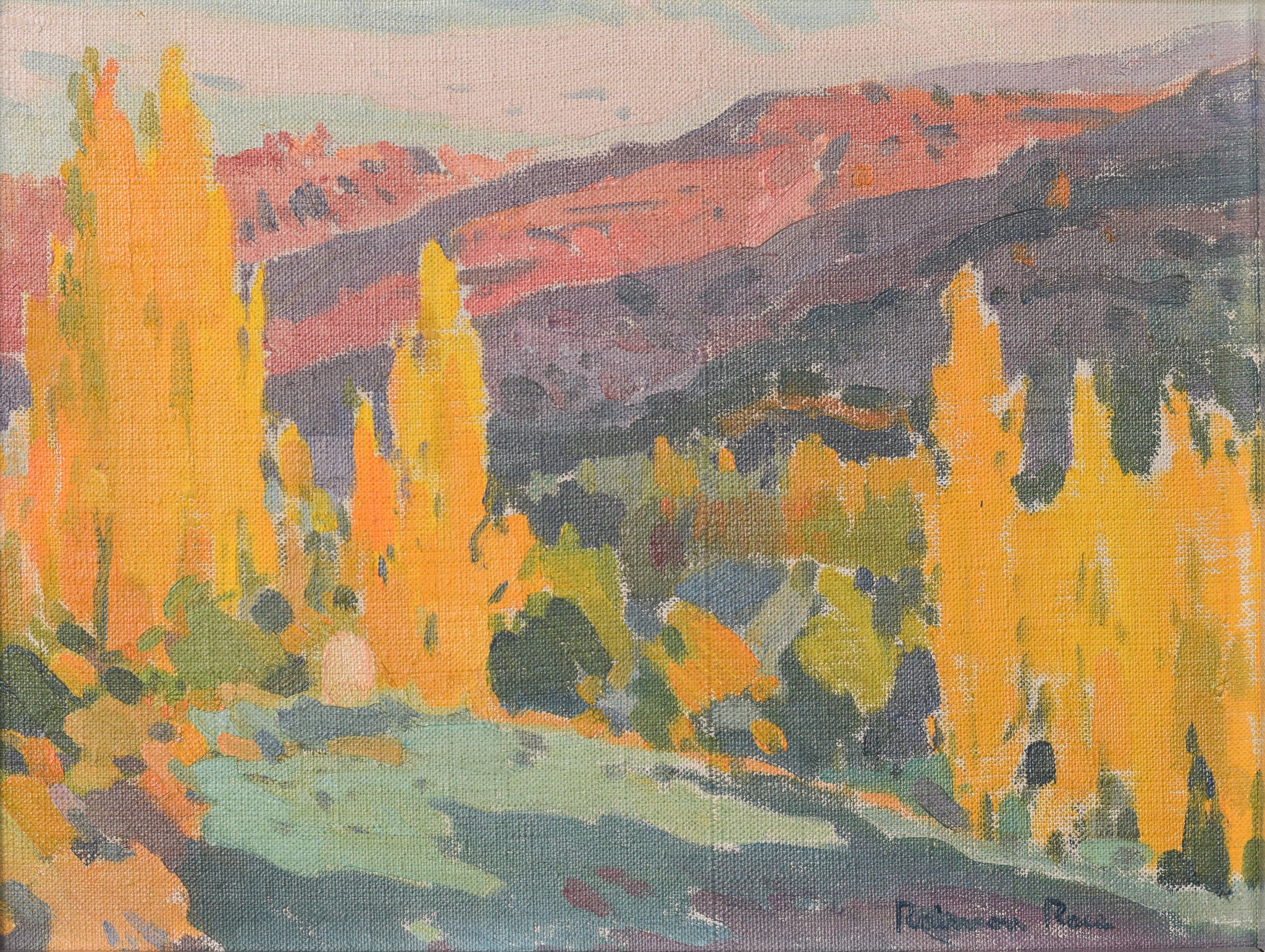 Raimon Roca Ricart