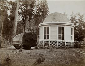 George Fiske Picture