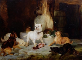 Martin Theodore Ward Picture