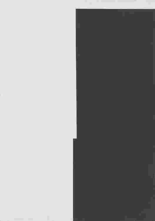 Radomir Damnjanovic-Damnjan