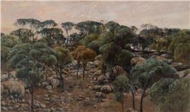 Phillip Cook Picture