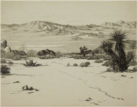 Cornelis Botke Picture