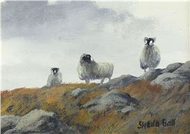 Sheila Bulla アート作品 絵画 Sheila Ball | 11 Artworks at Auction | MutualArt